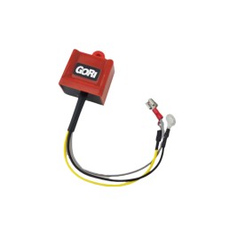 Centralina Conversione Elettronica